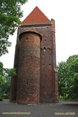 Zamek w Szamotułach