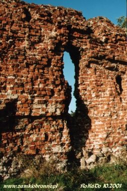 Ruiny zamku w Szubinie