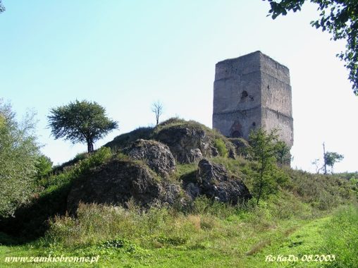 Wieża obronno-mieszkalna w Tudorowie