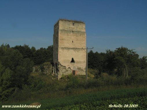 Wieża obronno-mieszkalna w Tudorowie