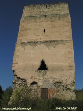 Wieża obronno-mieszkalna w Tudorowie