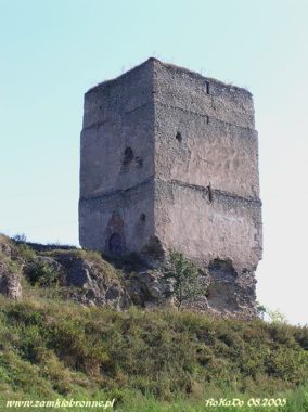 Wieża obronno-mieszkalna w Tudorowie