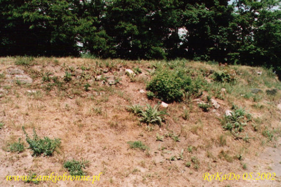 Relikty zamku w Wieruszowie