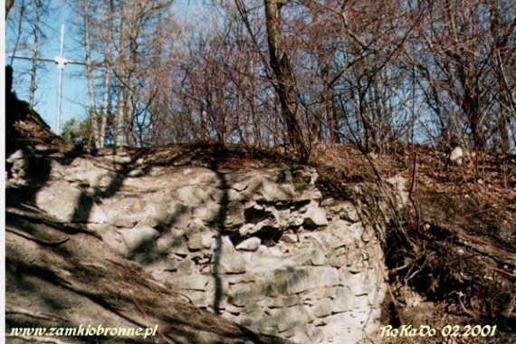 Wielka Wieś zamek Trzewlin