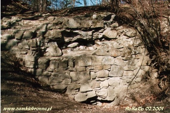 Ruiny zamku Trzewlin