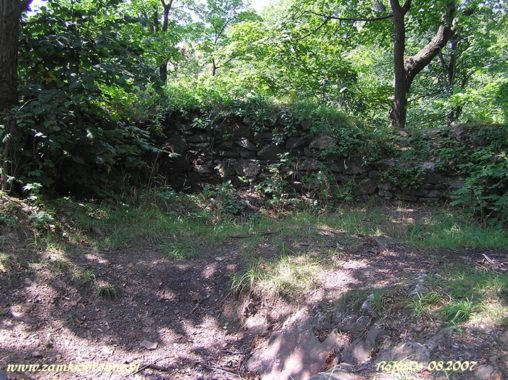 Ruiny zamku w Wojcieszowie