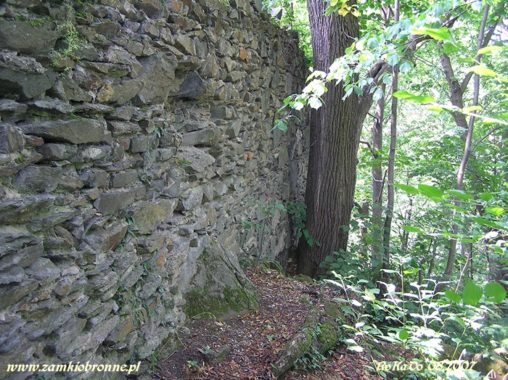 Ruiny zamku w Wojcieszowie