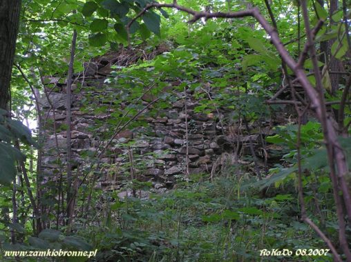 Ruiny zamku w Wojcieszowie