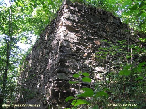 Ruiny zamku w Wojcieszowie