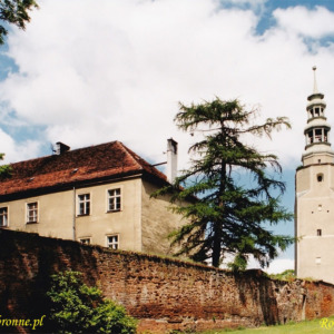 Zamek w Bierutowie