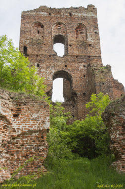 Zamek w Borysławicach Zamkowych