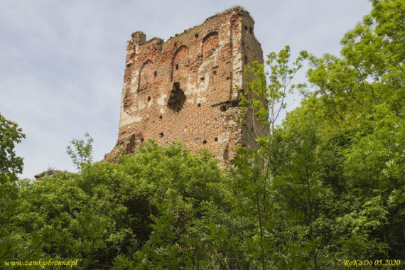 Zamek w Borysławicach Zamkowych