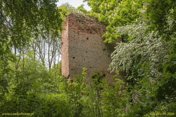 Zamek w Borysławicach Zamkowych