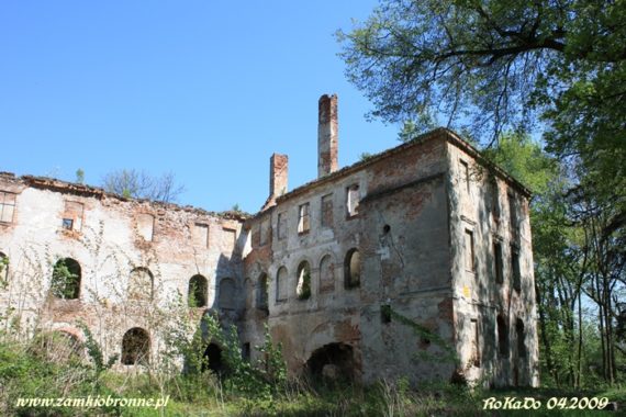 Ruiny zamku w Chrzelicach