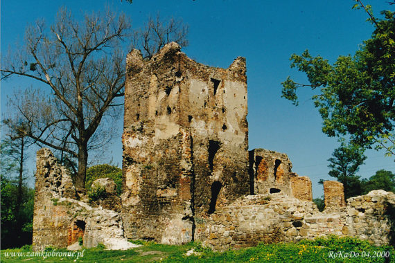 Zamek w Chudowie przed odbudową.