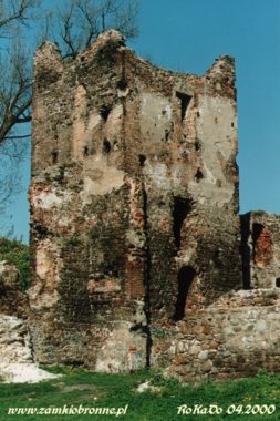 Zamek w Chudowie przed odbudową.
