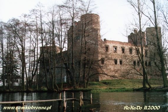 Zamek w Drzewicy