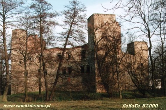 Zamek w Drzewicy