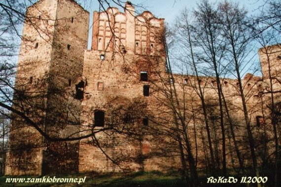 Zamek w Drzewicy