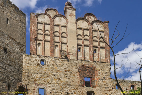 Zamek w Drzewicy