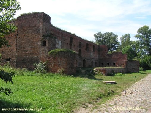 Ruiny zamku Dybów w Toruniu