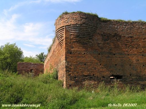 Ruiny zamku Dybów w Toruniu