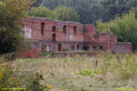 Ruiny zamku Dybów w Toruniu