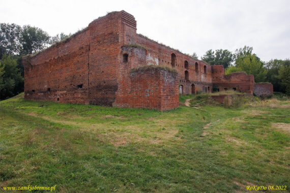 Ruiny zamku Dyb&oacute;w w Toruniu