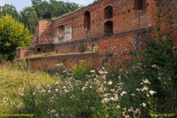 Ruiny zamku Dybów w Toruniu
