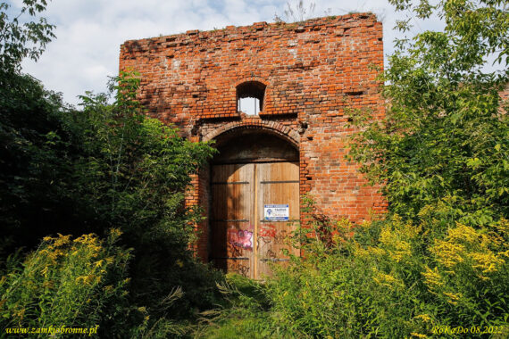 Ruiny zamku Dyb&oacute;w w Toruniu