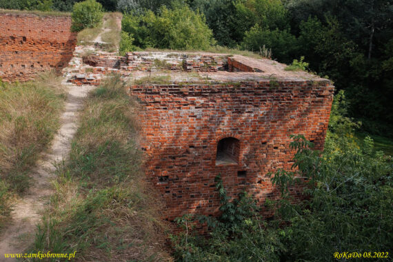 Ruiny zamku Dybów w Toruniu