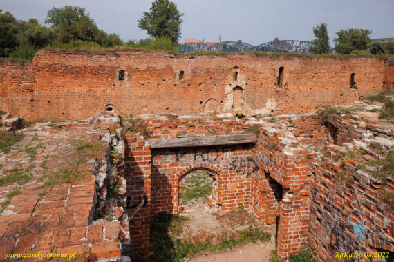 Ruiny zamku Dyb&oacute;w w Toruniu