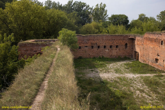 Ruiny zamku Dyb&oacute;w w Toruniu