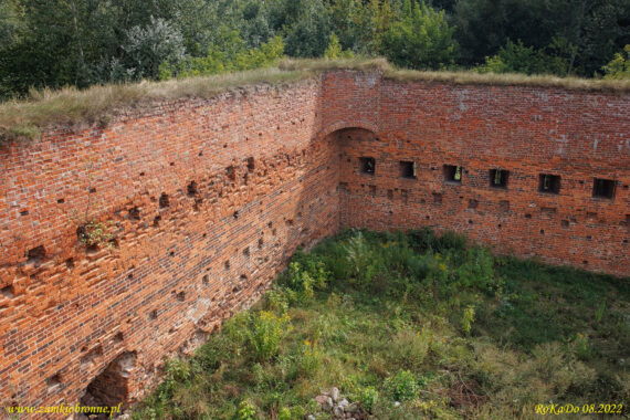 Ruiny zamku Dybów w Toruniu