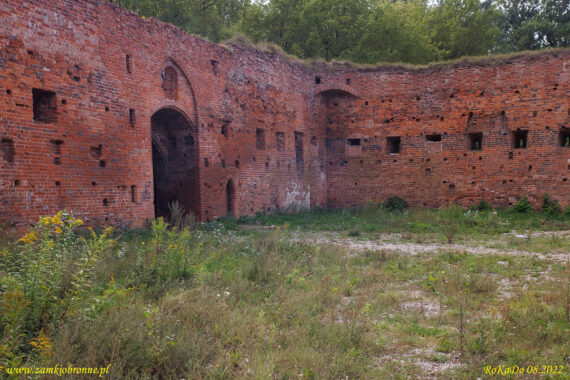 Ruiny zamku Dybów w Toruniu