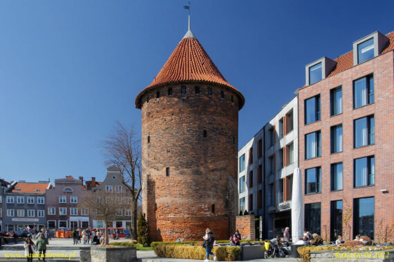 Gdańsk baszta Łabędź