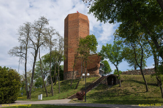 Zamek w Kruszwicy