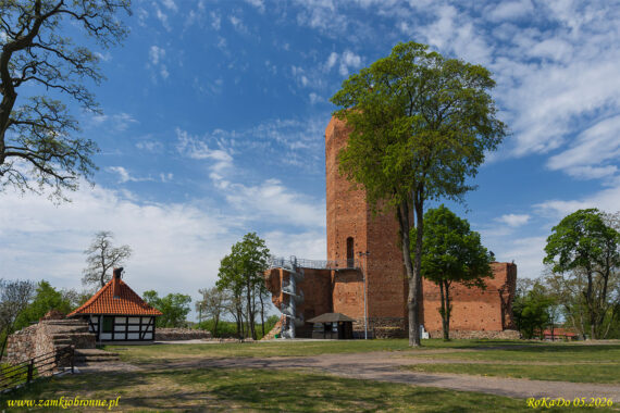 Zamek w Kruszwicy
