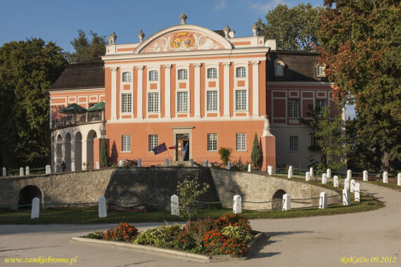 Zamek w Kurozwękach