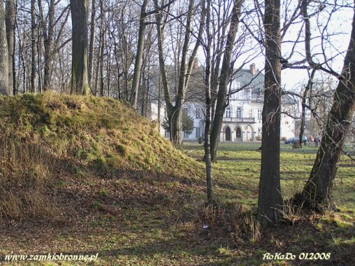 Dwór obronny w Łodygowicach pozostałości ziemnych umocnień.