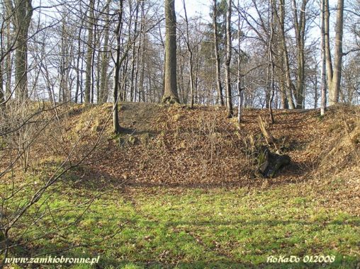 Dwór obronny w Łodygowicach pozostałości ziemnych umocnień.