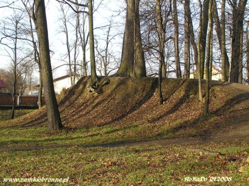 Dwór obronny w Łodygowicach pozostałości ziemnych umocnień.