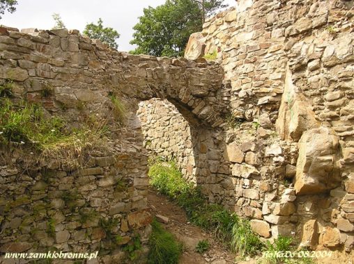 Muszyna. Ruiny zamku biskup&oacute;w krakowskich.