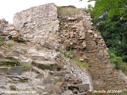 Muszyna. Ruiny zamku biskupów krakowskich.