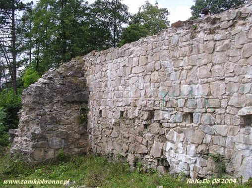 Muszyna. Ruiny zamku biskupów krakowskich.