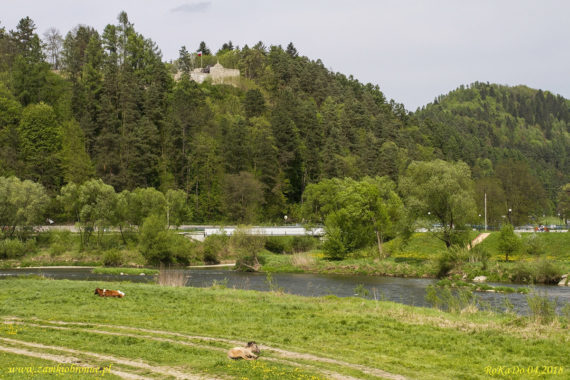 Muszyna. Ruiny zamku biskupów krakowskich.