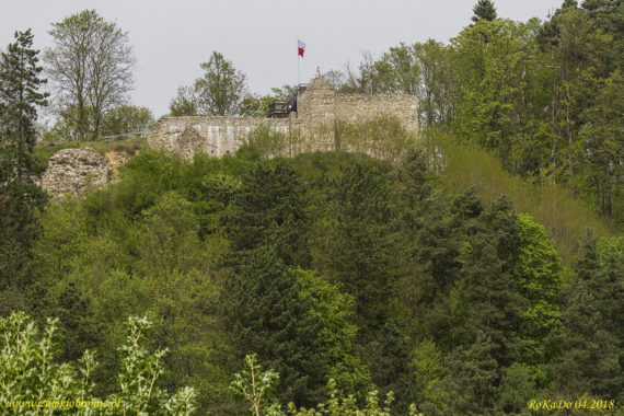 Muszyna. Ruiny zamku biskupów krakowskich.
