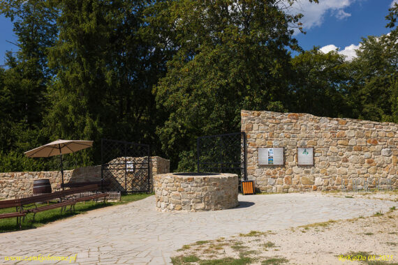 Muszyna. Ruiny zamku biskup&oacute;w krakowskich.