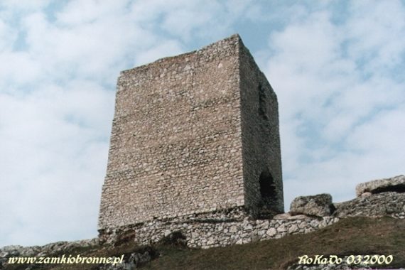 Zamek w Olsztynie k/Częstochowy