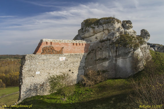 Zamek w Olsztynie k/Częstochowy